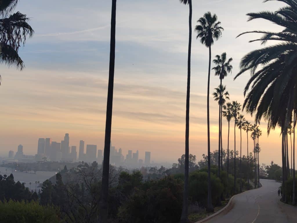 Blick vom Elysian Park auf Downtown LA im Abendlicht