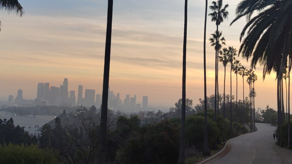 Sonnenuntergang über Downtown Los Angeles vom Elysian Park aus gesehen
